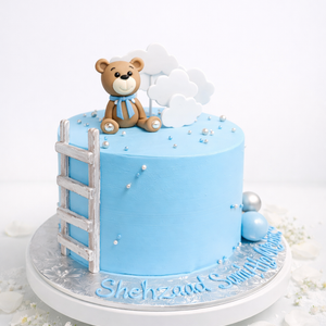 Cuddly Teddy Birthday Cake-BO009