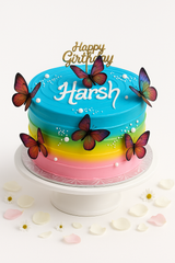 Rainbow butterfly cake-BG019