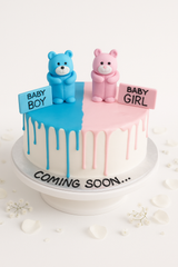Sweet  Teddy bear Cake-BS012