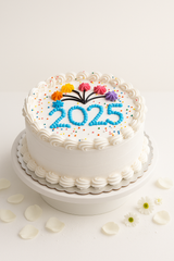 Celebrating New Year-NY004