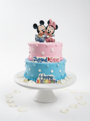 Twins Birthday Cake-TR010